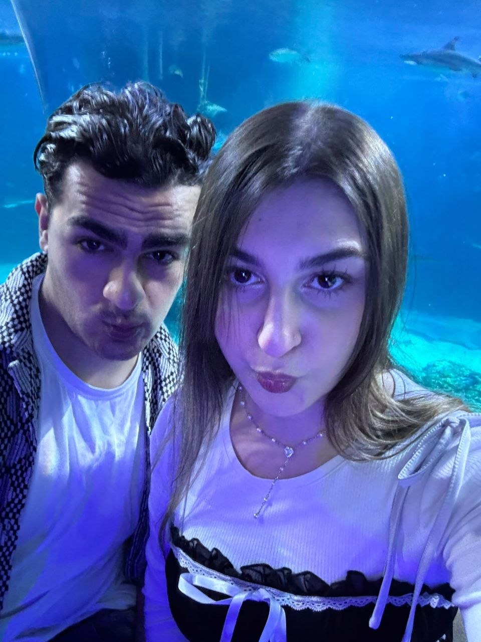Sila photo