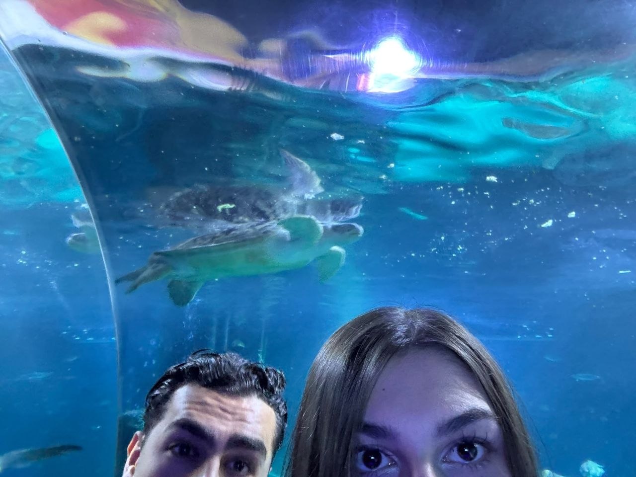 Sila photo